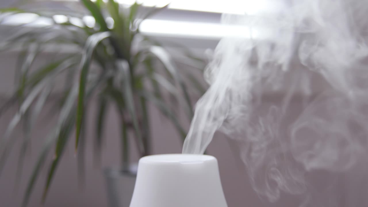 Essential Oil Diffuser Misting Close Up with Plant in Background