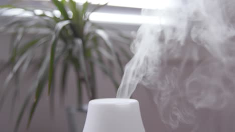 essential oil diffuser misting close up with plant in background