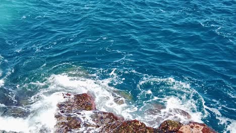 HD-Hawaii-Kauai-slow-motion-static-wide-shot-of-sea-turtle-barely-visible-on-rocks-with-ocean-waves-swirling-as-the-turtle-moves-off-of-the-rock