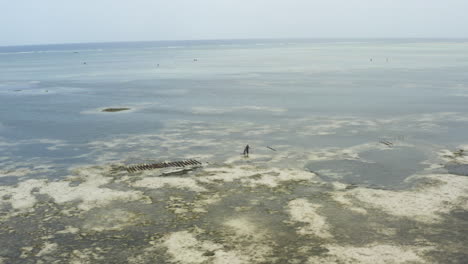 Pescador-Con-Fondo-Marino-De-La-Orilla-De-Forraje-Neto-Con-Algas-En-Marea-Baja