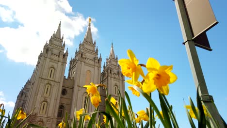 Una-Panorámica-De-ángulo-Bajo-Del-Templo-De-Salt-Lake-Con-Narcisos-Frente-A-Ellos-En-Utah-En-El-Centro-De-La-Iglesia-De-Jesucristo-De-Los-Santos-De-Los-últimos-Días-En-Cámara-Lenta