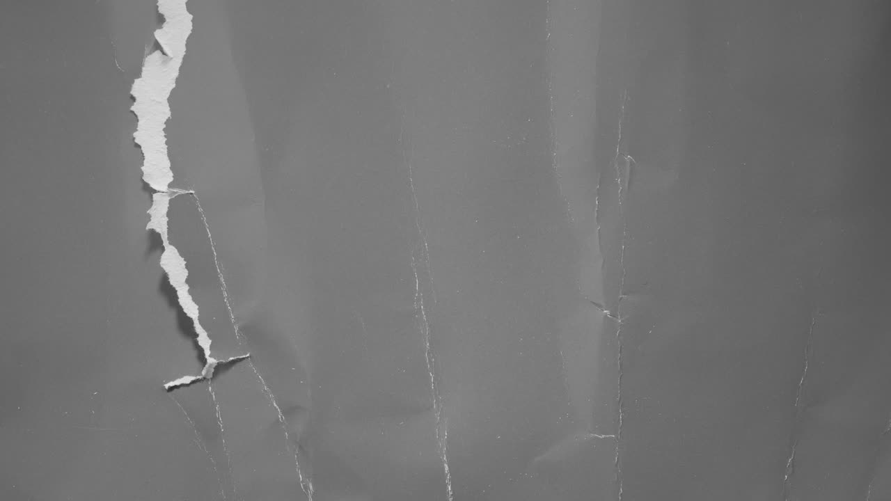 Gray Torn Paper Reveal Transition