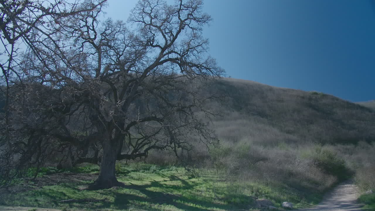 캘리포니아 아구라 힐스의 고요한 하루