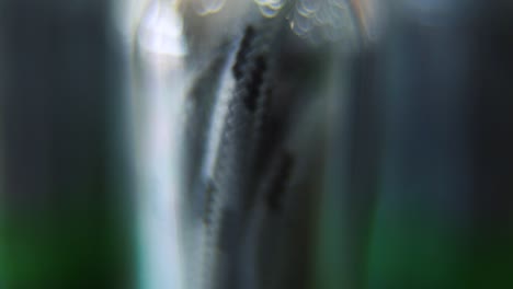 Macro-close-up-shot,-USB-wire-in-a-round-plastic-cover,-DREAMY-BOKEH,-charging-cable-in-a-glowing-clear-case