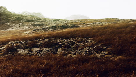 rocky desert landscape with sparse vegetation and mountains peaks