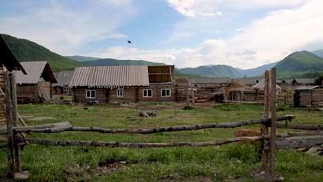 animal farm in beautiful remote rural village in xinjiang, china