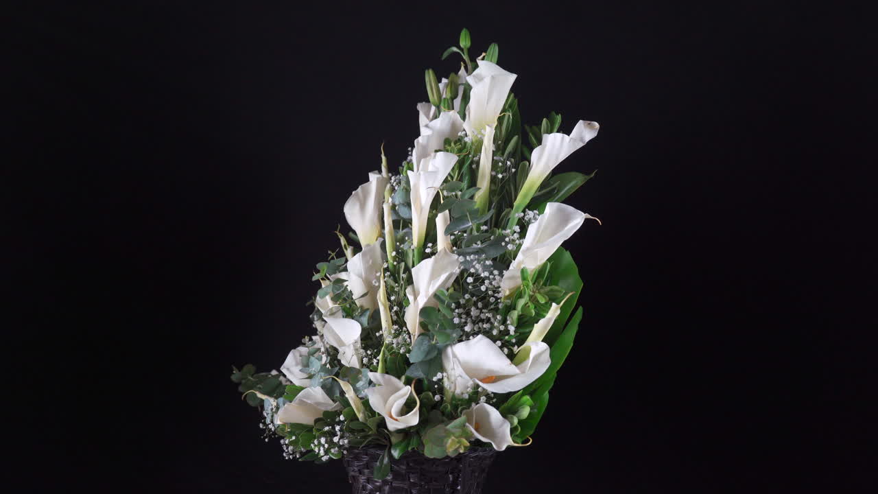 알카트라즈 배열 회전하는 꽃 검은 배경 와이드 샷