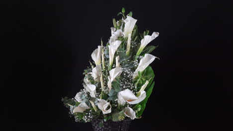 alcatraz arrangement spinning flower black background wide shot