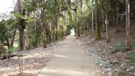 drone-low-flight-filming-a-beautiful-square-full-of-trees-and-branches-during-springtime-in-brazil-on-narrow-path,-4K-footage