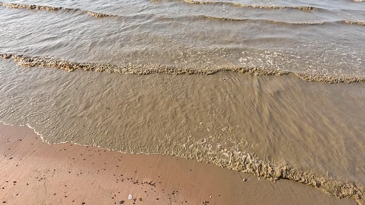 파도가 부드럽게 모래 연안에 부히고