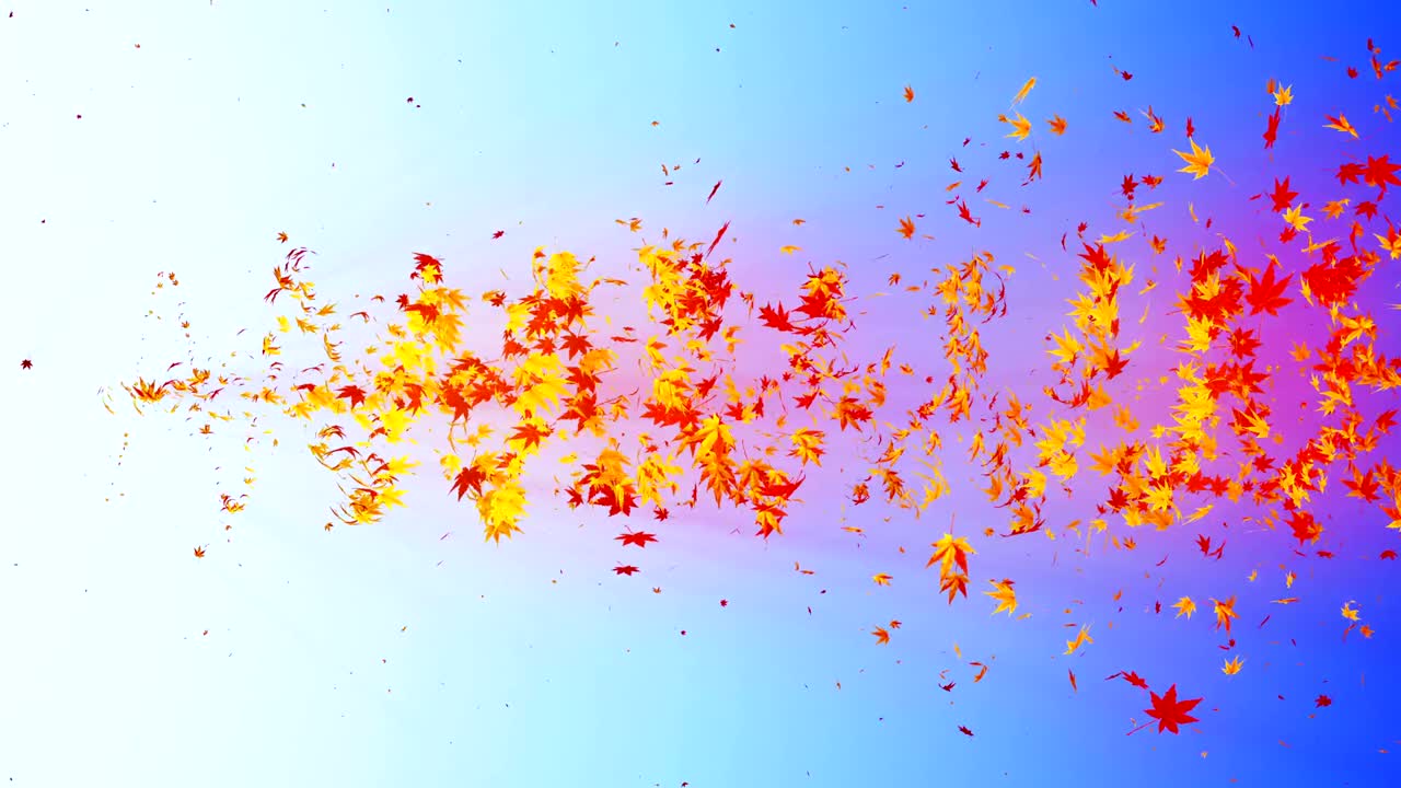 다채로운 메이플과 잎에서 나온 소용돌이, 가을 잎의 나선형 반이는 입자, 춤추는 잎, 다채로운 자연 터널 루프 애니메이션.