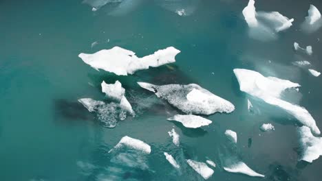 Flying-Over-Small-Icebergs