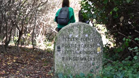 people walk by a tombstone in a forest in the south of england