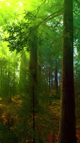 la luz del sol filtrándose a través de los árboles en un bosque verde exuberante