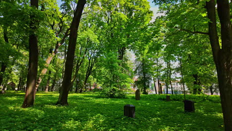 Lush-Green-Forest-Graveyard-in-Spring