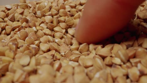 buckwheat groats