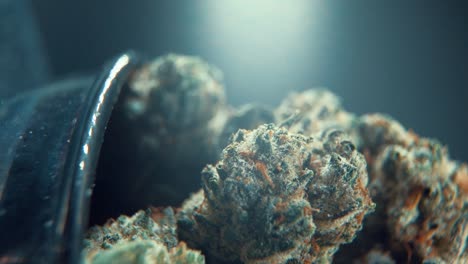 una toma cinemática macro vertical detallada de una planta de cannabis, variedades híbridas de naranja, sativa, flor de marihuana, en un soporte giratorio, grito brillante, full hd, super cámara lenta, 120 fps, iluminación de estudio