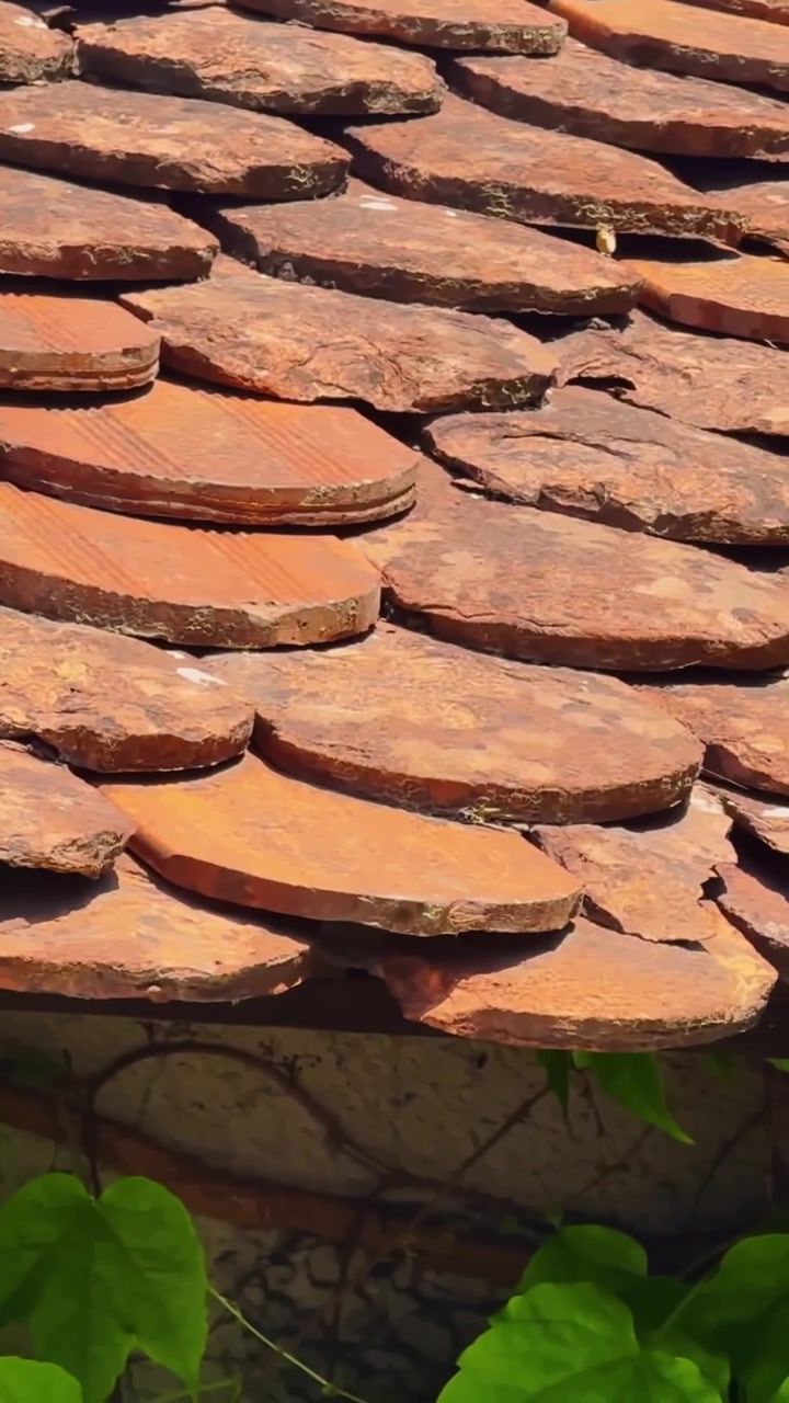 Primo piano verticale di vecchie tegole in terracotta a Tacen, Slovenia, che mostra la texture dell'argilla invecchiata, i bordi scheggiati e le foglie verdi sottostanti