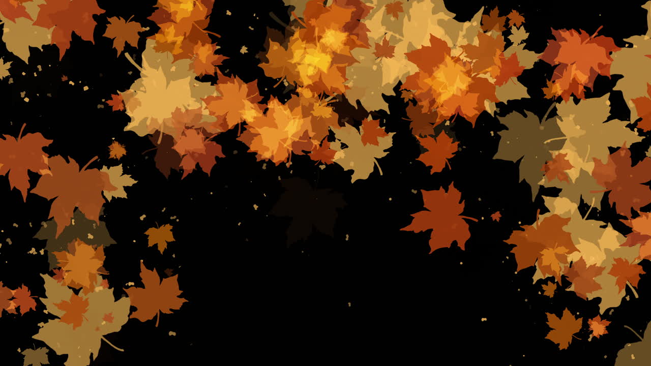 Black loop background with falling autumn yellow dry maple leaves. Floral animated frame with copy space.