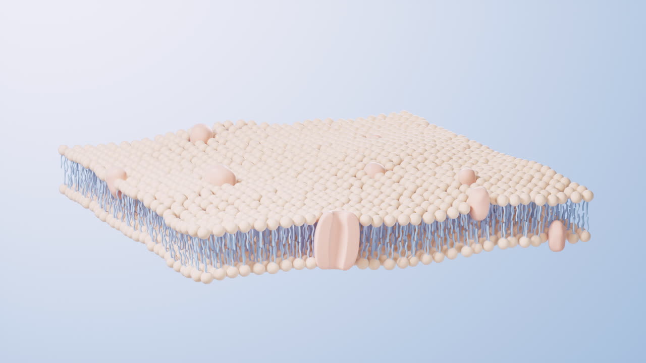 세포막 구조 배경, 3d 렌더링