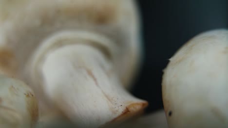 Macro-detailed-video-of-a-pile-of-mushrooms,-RAW-champignons,-WHITE-CAPS,-on-a-rotating-stand,-smooth-movement,-slow-motion-120-fps