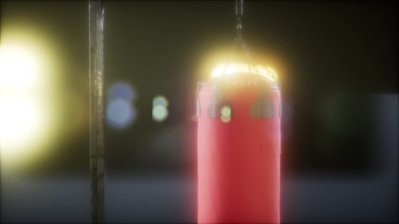 권투 또는  ⁇  권투 스포츠를 위한 권투 가방