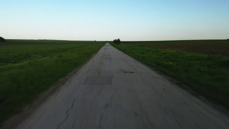 empty road with potholes in the fields with a big tree and beautiful blue sky