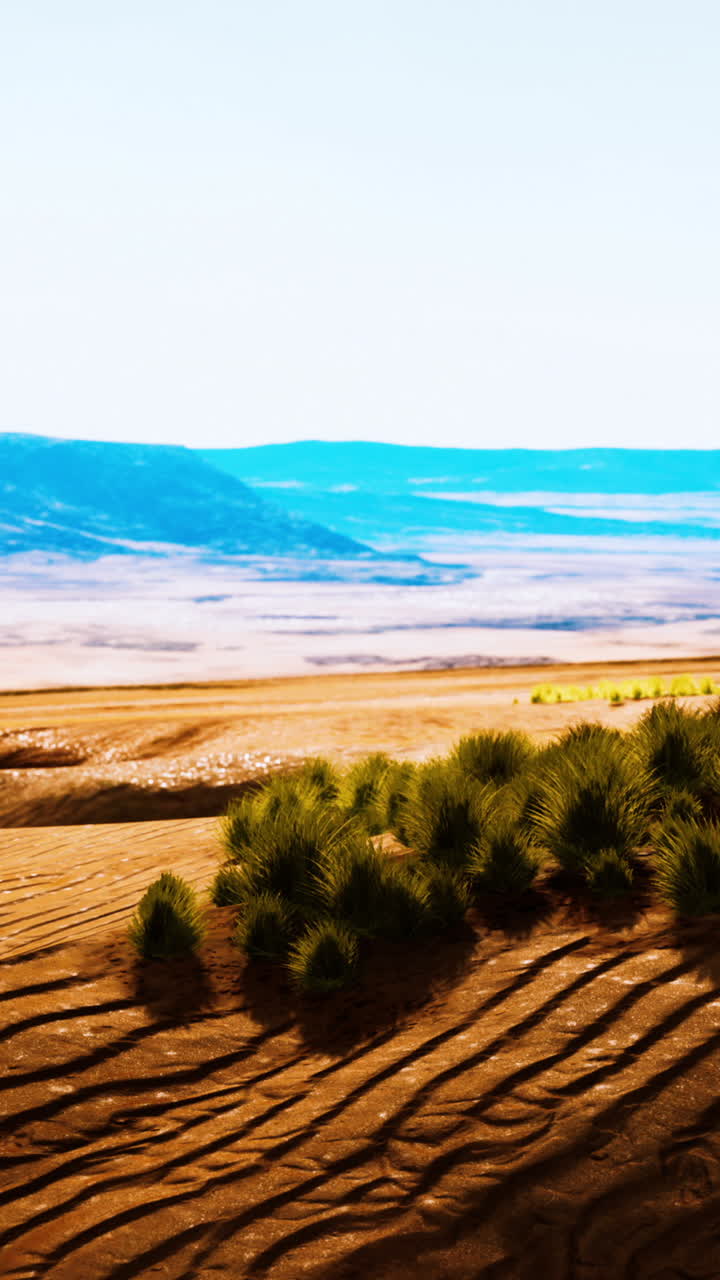 una vista panorámica de un paisaje desértico con dunas de arena, hierba y montañas en la distancia