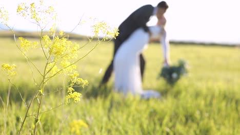 Romantic-Bride---Groom-Dipping---Kissing-at-Wedding-Day-Marriage-Ceremony