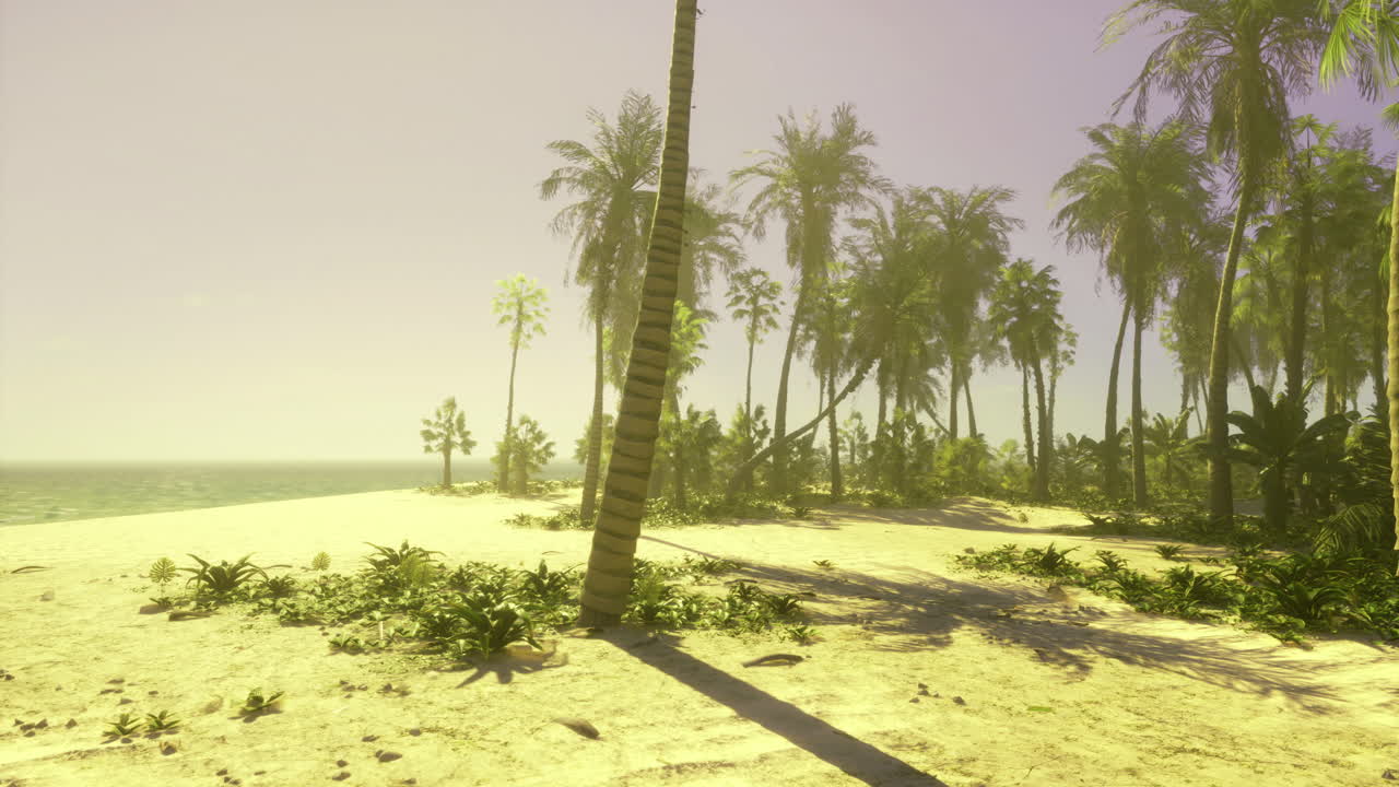 Lush tropical beach with palm trees and calm ocean waves at sunset