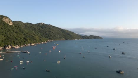muchos botes pequeños cerca de la costa verde de la montaña, vista aérea de vuelo hacia adelante