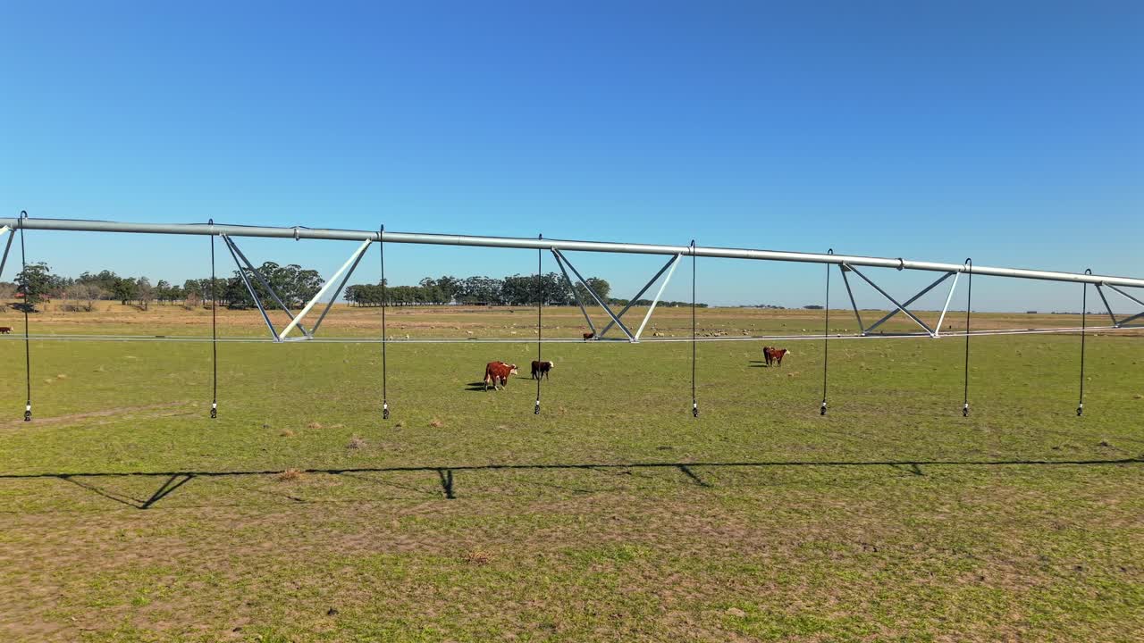 Close-up drone view of the center pivot irrigation system stretching across green agricultural land