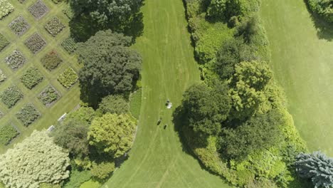 drone birdview of a dutch wedding couple walking hand in hand in a park with photographers following