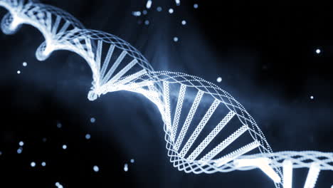 dna double helix visualization