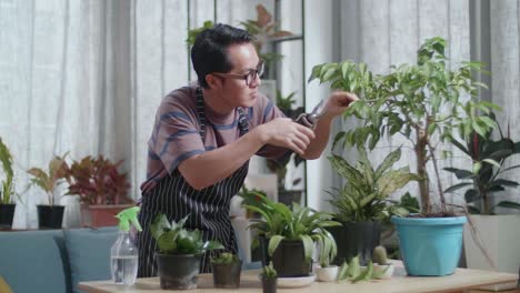 asian man trimming plants at home
