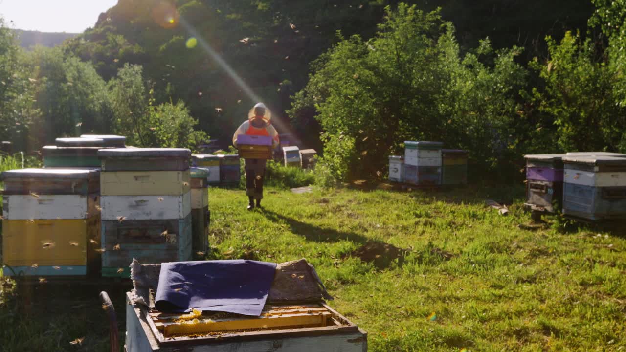 Beekeeper Working in an Apiary