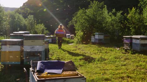 beekeeper working in an apiary