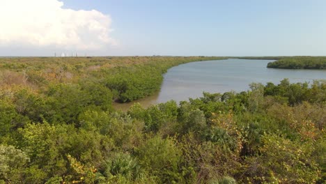 flight over mangroves ecosystem in lovers key, florida