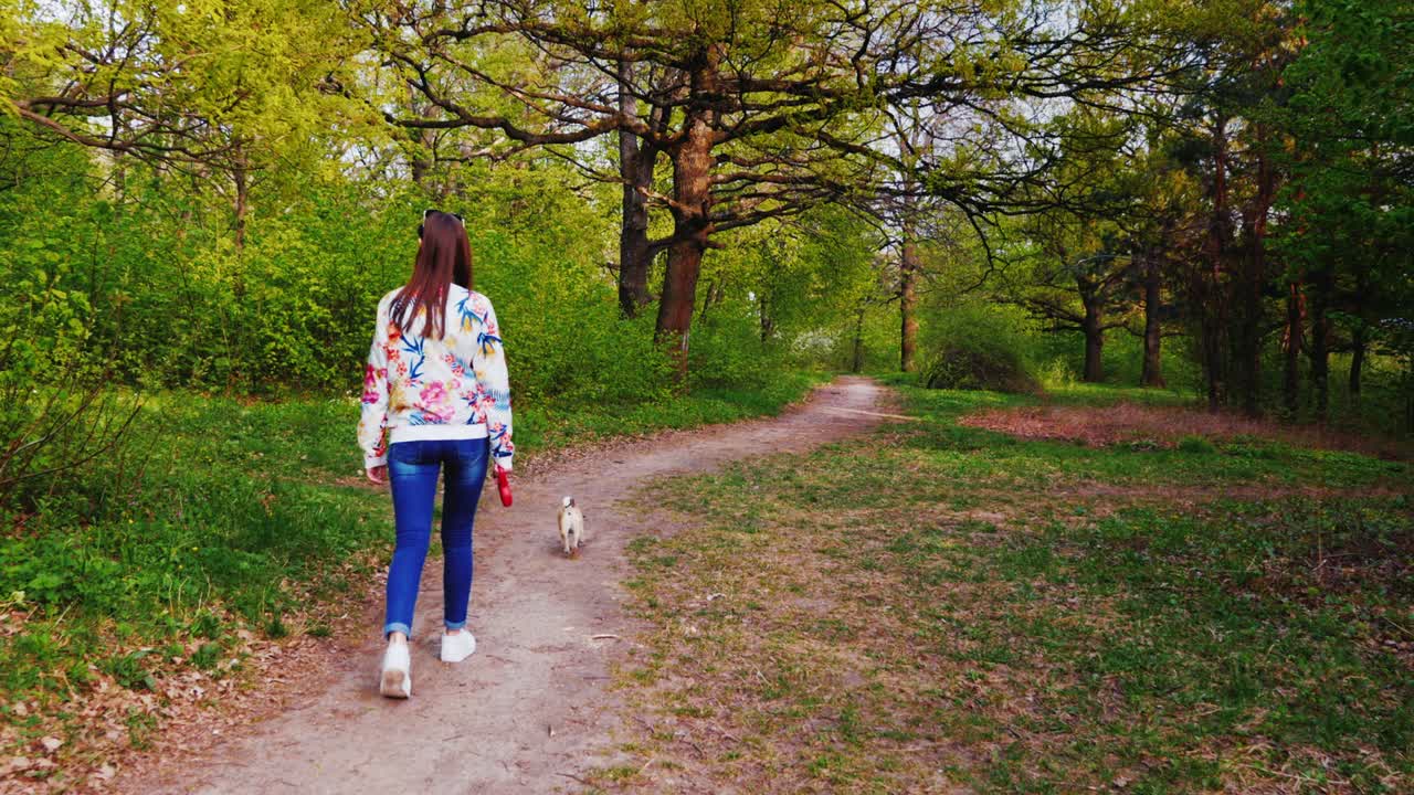 una mujer joven está caminando con un perro pug en el bosque. vista trasera