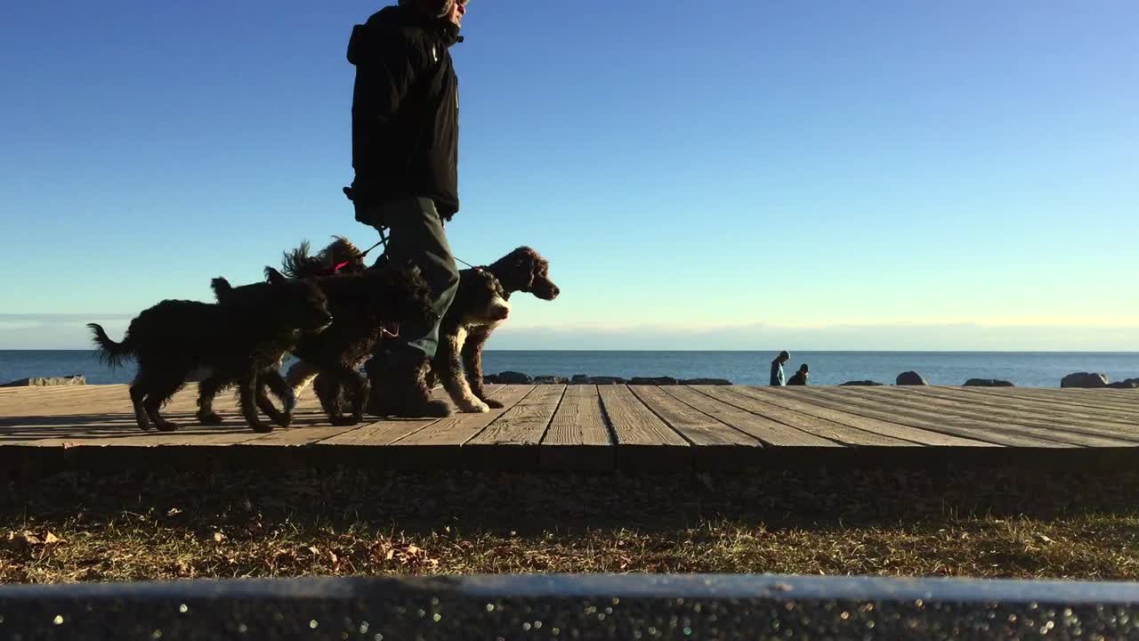 Wide shot of sandy beach and Lake Ontario, with foreground walkers out on the boardwalk, on a sunny winter dog day afternoon