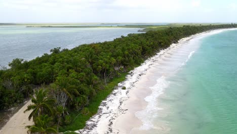 Camino-Lleno-De-Palmeras,-A-Sus-Orillas-Está-El-Mar-Y-La-Laguna