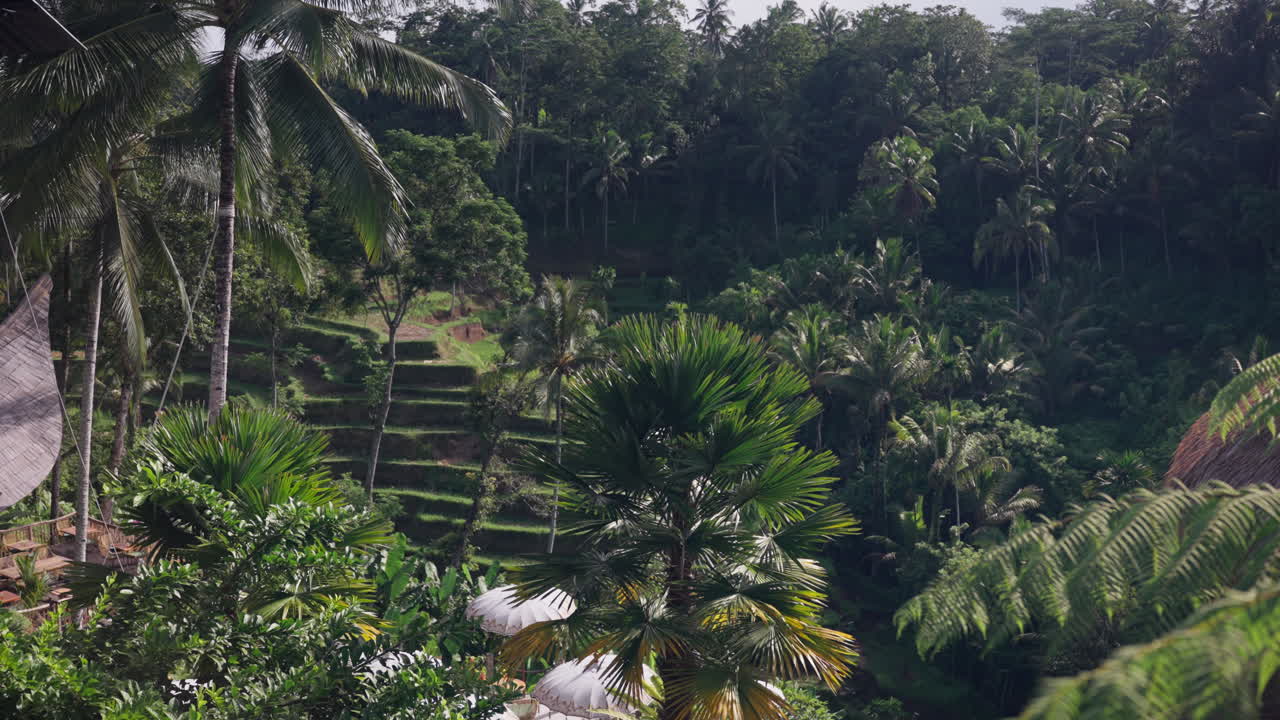restaurante de terrazas de arroz de tegallalang, con vistas panorámicas a los paisajes verdes