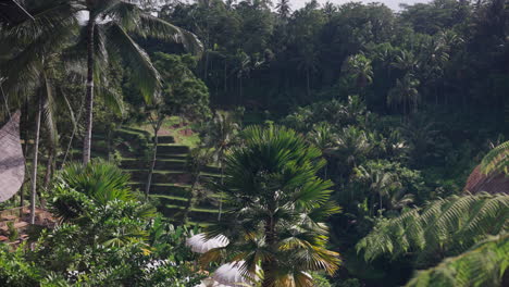 Tegallalang-rice-terraces-restaurant,-dining-with-panoramic-views-of-green-landscapes