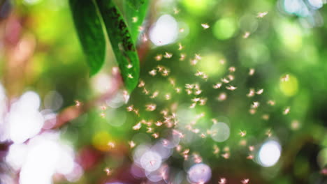 primer plano de un enjambre de mosquitos que vuelan desde una hoja en el bosque