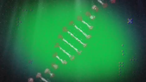 Digitale-Animation-Abstrakter-Formen-über-Einer-DNA-Struktur,-Die-Sich-Vor-Grünem-Hintergrund-Dreht