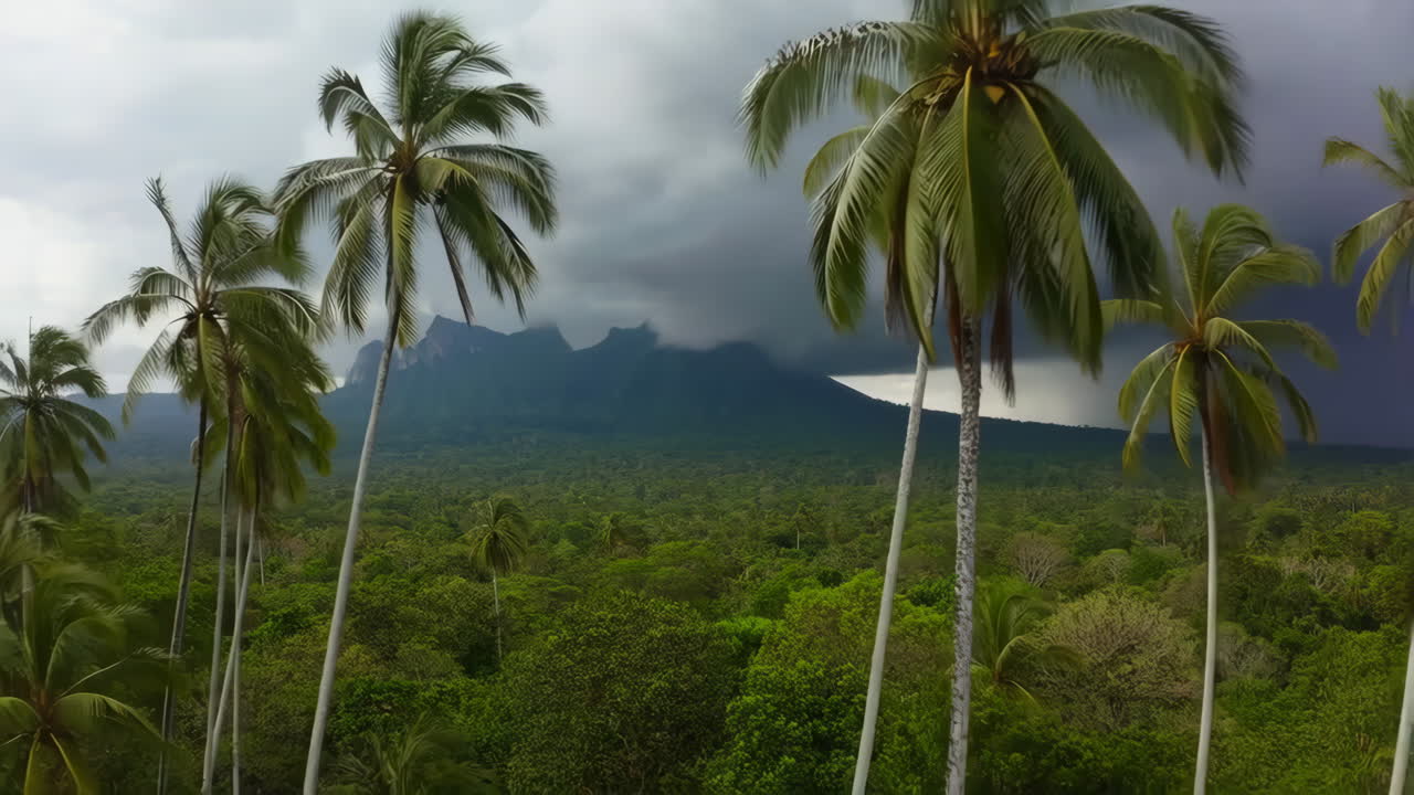 Tropical Forest Landscape with Mountains and Stormy Sky
