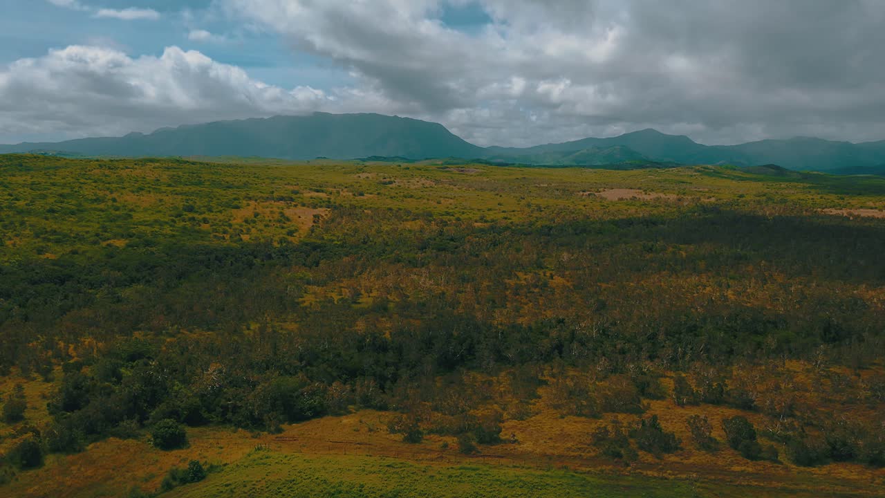 volar sobre campos y bosques hacia una montaña en la distancia durante un día nublado