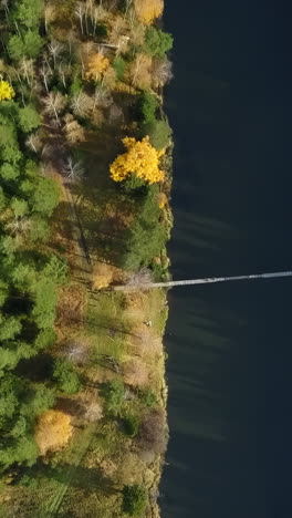 bosque de otoño y lago vista aérea
