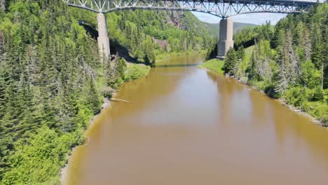 un dron vuela cerca de los árboles y sobre un río hacia un puente muy alto al fondo