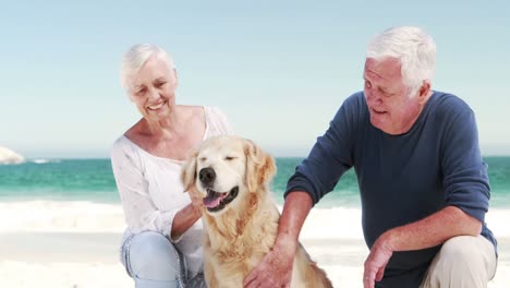 Old-retired-couple-with-dog